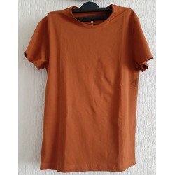 Heren T-shirt ginger/...