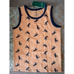 Boys T-shirt orange with dinosaurs