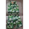 Boys set: T-shirt and shorts jungle prints palm trees and animals