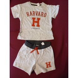 Jongensset: T-shirt en Short grijs Harvard