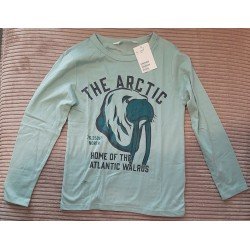 Boys sweater green THE ARCTIC